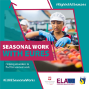 Obrazek dla: Kampania informacyjna na temat pracy sezonowej w Unii Europejskiej